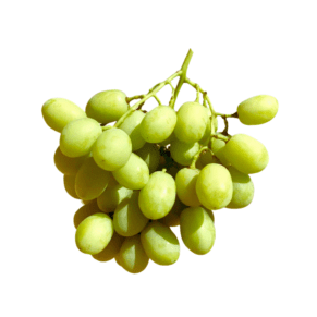 Sweet globe green seedless grapes