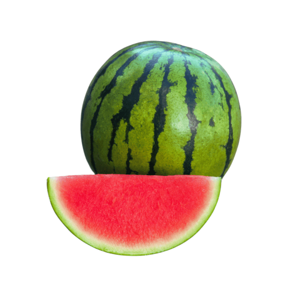 Vietnam seedless red watermelon