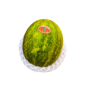 Japan papaya melon