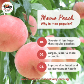 China momo peach