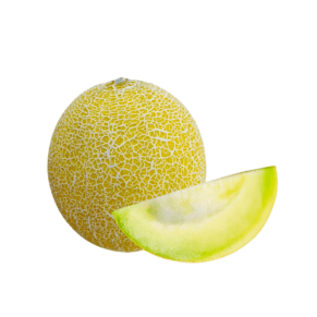 Costa Rica Galia Melon