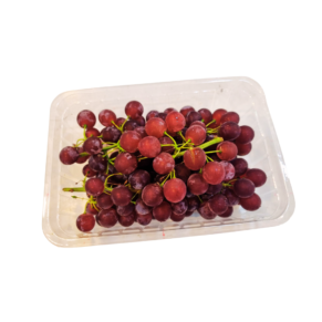 Japan Delaware Grapes