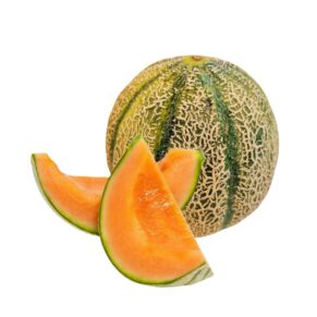 Spain Charentais Melon