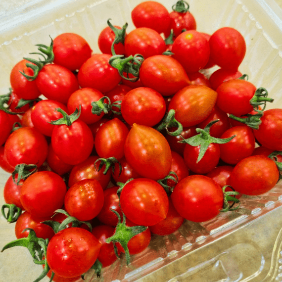 Busan cherry tomato