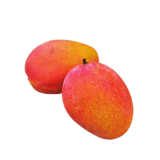 Taiwan premium aiwen mango