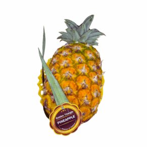 Thai Golden Triangle Pineapple
